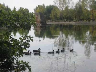 Denizli İl Kültür ve Turizm Müdürlüğü