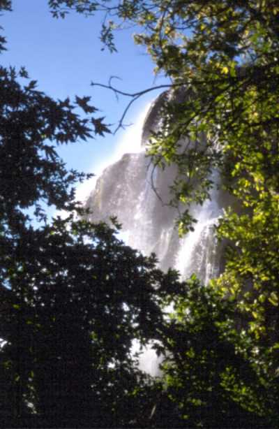 Kültür ve Turizm Müdürlüğü Arşivi