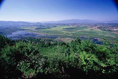 EFTENİ GÖLÜ KUŞ CENNETİ