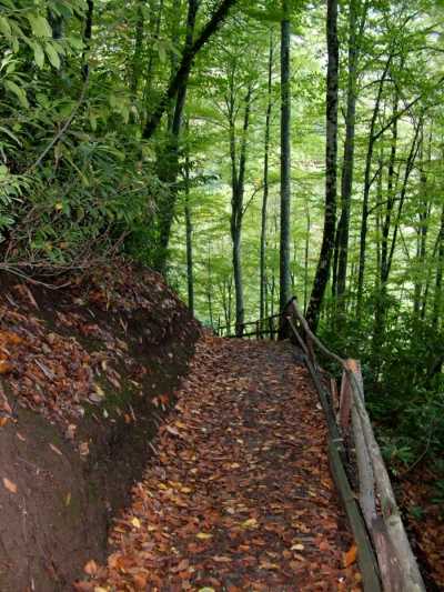 GÜZELDERE ŞELALESİ