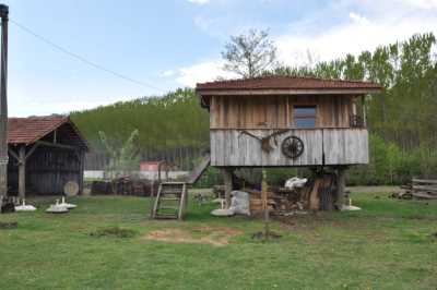 KONAKLI AT ÇİFTLİĞİ