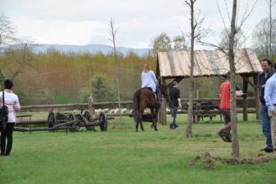 KONAKLI AT ÇİFTLİĞİ