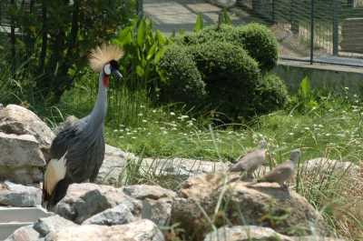 Darıca Faruk Yalçın Hayvanlar Alemi Botanik Bahçesi- Darıca