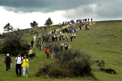 Davlumbaz Yaylası