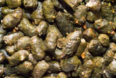 Akçakoca Dadalı Köyü