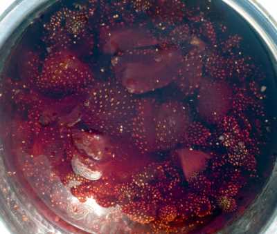 Akçakoca Dadalı Köyü