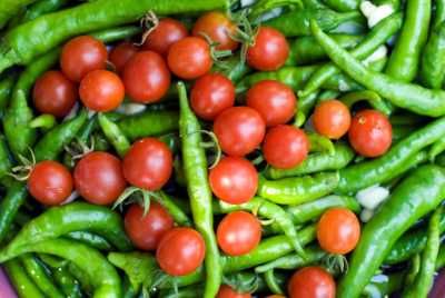 Akçakoca Dadalı Köyü