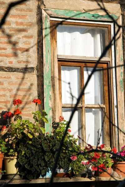 Akçakoca Dadalı Köyü