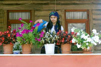 Akçakoca Dadalı Köyü