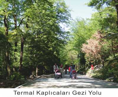 Termal Kaplıca İşletmeleri, Yalova
