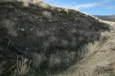 FENE (ELMACI) HÖYÜK