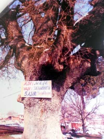 Denizli İl Kültür ve Turizm Müdürlüğü