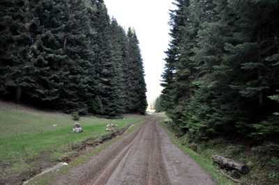 Kocayayla ve Darıyeri Yörükler Yaylası Kamp ve Off-Road Oyunları