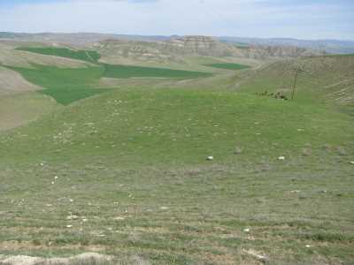 EĞREK TEPE HÖYÜK - Müze Müdürlüğü Arşivi - 2009