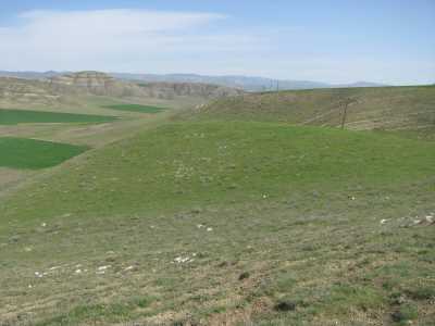 EĞREK TEPE HÖYÜK - Müze Müdürlüğü Arşivi - 2009