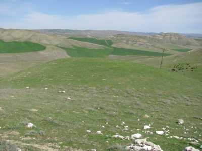 EĞREK TEPE HÖYÜK - Müze Müdürlüğü Arşivi - 2009