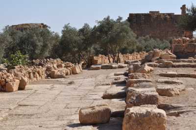 Dara Antik Kenti- Saray Yolu ve Çarşı (Agora), Fotoğraf: Baki ATEŞ