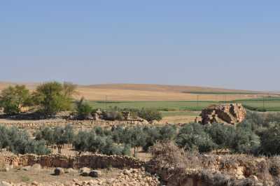 Dara Antik Kenti- Sur Burcu, Fotoğraf: Baki ATEŞ