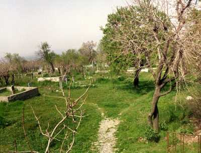 Denizli İl Kültür ve Turizm Müdürlüğü