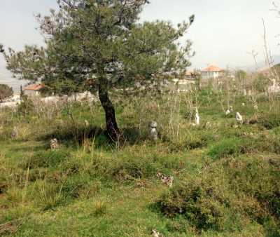 Denizli İl Kültür ve Turizm Müdürlüğü