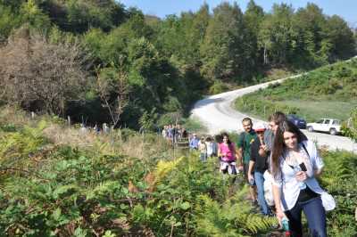 Aydınpınar Şelaleleri Tabiat Parkı