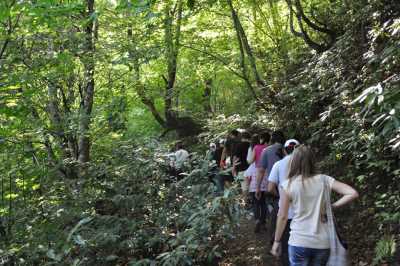 Aydınpınar Şelaleleri Tabiat Parkı