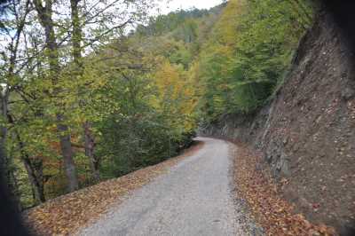 YIĞILCA'dan YEDİGÖLLER'e YOL MANZARALARI