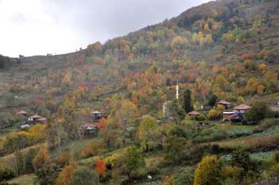 YIĞILCA'dan YEDİGÖLLER'e YOL MANZARALARI