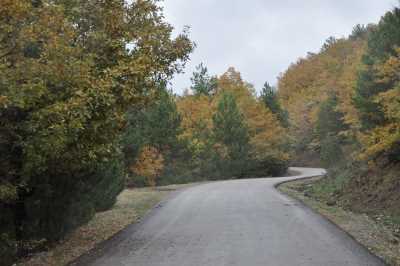 YIĞILCA'dan YEDİGÖLLER'e YOL MANZARALARI