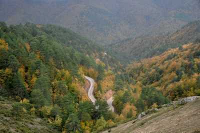 YIĞILCA'dan YEDİGÖLLER'e YOL MANZARALARI