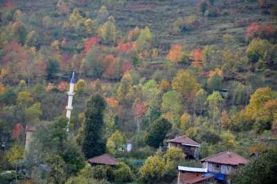 Yığılca'dan Yedigöller'e