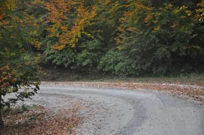 YIĞILCA'dan YEDİGÖLLER'e YOL MANZARALARI