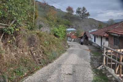 Yığılca'dan Yedigöller'e