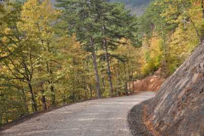 YIĞILCA'dan YEDİGÖLLER'e YOL MANZARALARI