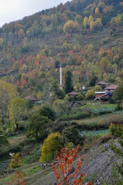 YIĞILCA'dan YEDİGÖLLER'e YOL MANZARALARI