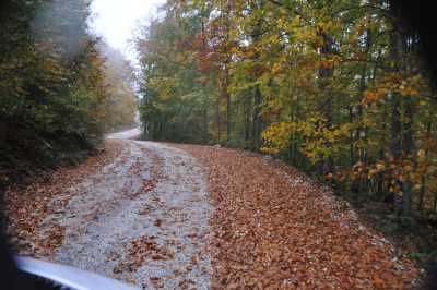 YIĞILCA'dan YEDİGÖLLER'e YOL MANZARALARI