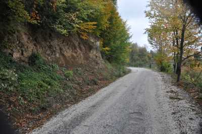 YIĞILCA'dan YEDİGÖLLER'e YOL MANZARALARI