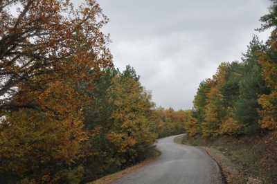 YIĞILCA'dan YEDİGÖLLER'e YOL MANZARALARI