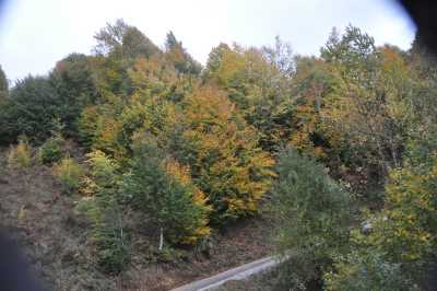 YIĞILCA'dan YEDİGÖLLER'e YOL MANZARALARI