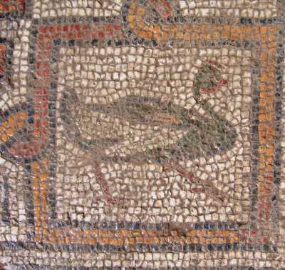 Hadrianapolis Antik Kentinde ortaya çıkartılan mozaikler