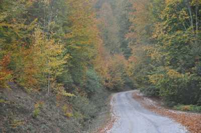 YIĞILCA'dan YEDİGÖLLER'e YOL MANZARALARI