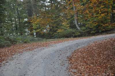 YIĞILCA'dan YEDİGÖLLER'e YOL MANZARALARI