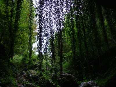 Sarıkaya Mağarası