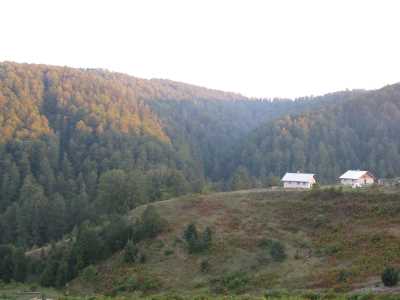Yedigöller yolu Foto: Fazıl Karaduman arşivi