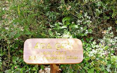 Endemik Bitki Gözlemciliği