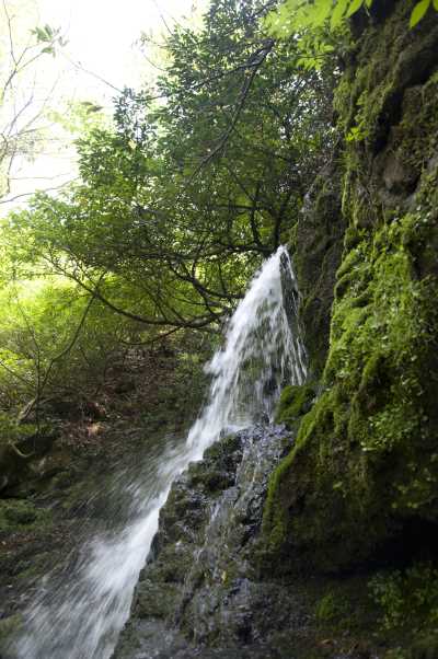 Ayvacık Şelaleleri 2. Fotoğraf