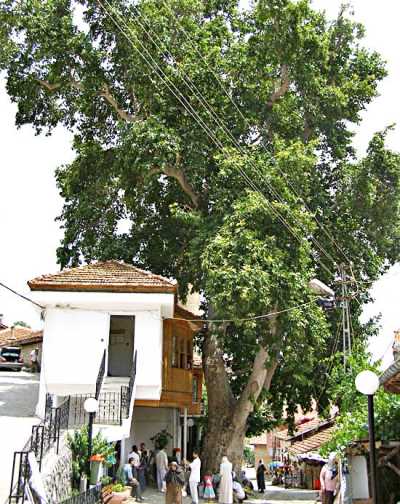 Said Nursi Evi - Eğirdir / Barla