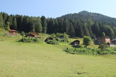 Ayder Yaylası Kaynak: Rize İl Kültür ve Turizm Müdürlüğü Fotoğraf Arşivi