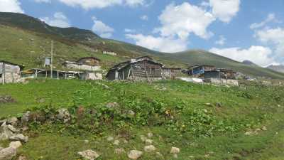 Avuser Yaylası Kaynak: Rize İl Kültür ve Turizm Müdürlüğü Fotoğraf Arşivi