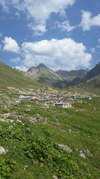 Avuser Yaylası Kaynak: Rize İl Kültür ve Turizm Müdürlüğü Fotoğraf Arşivi